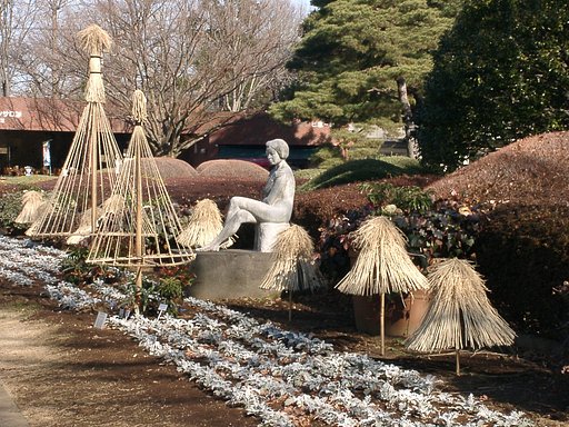 ★新春の植物園から-02