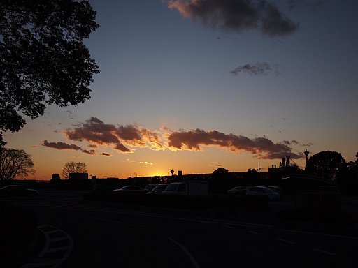 夕日・・・^^;