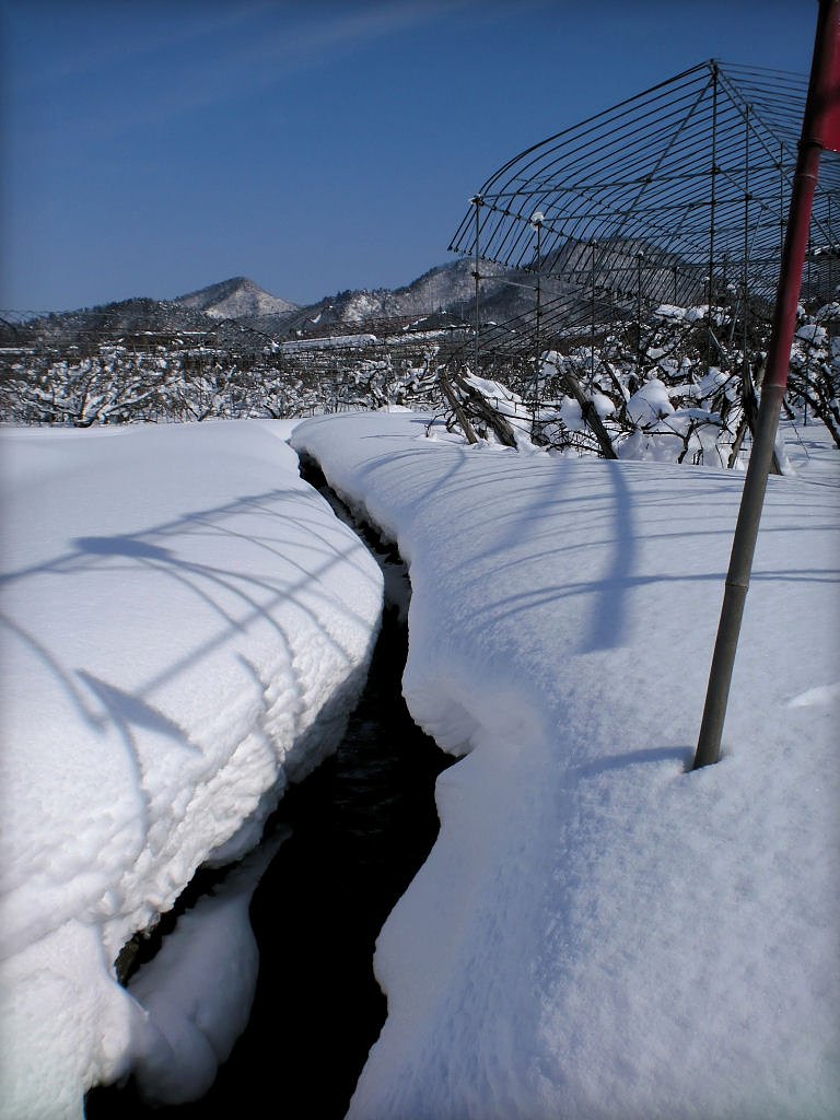 冬の小川は