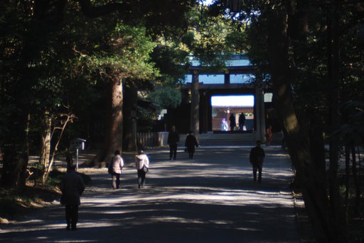 初詣（明治神宮）