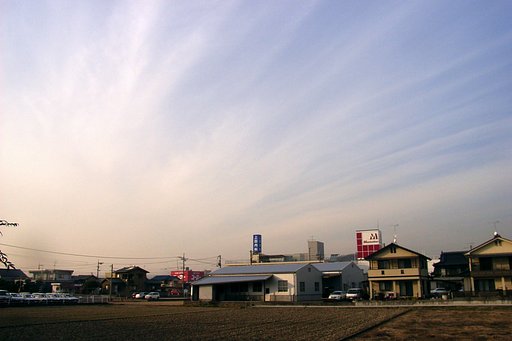 黄砂が