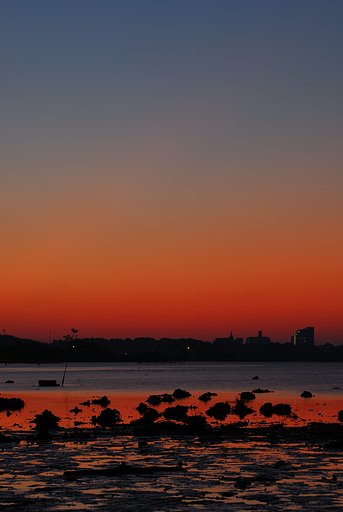 干潮の夜明け