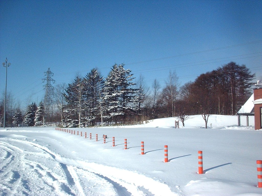 冬景色