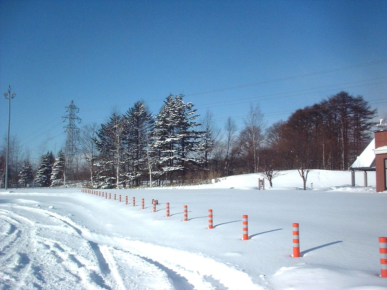 冬景色