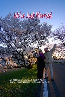 【桜】報告