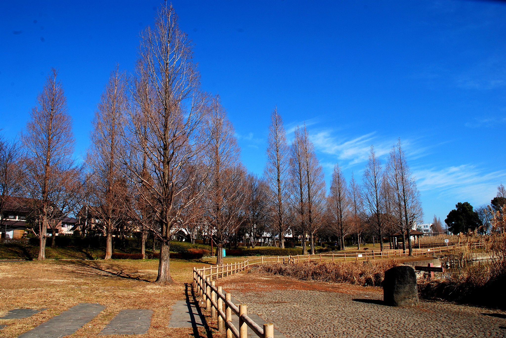 松伏公園