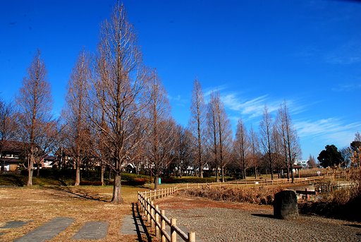 松伏公園