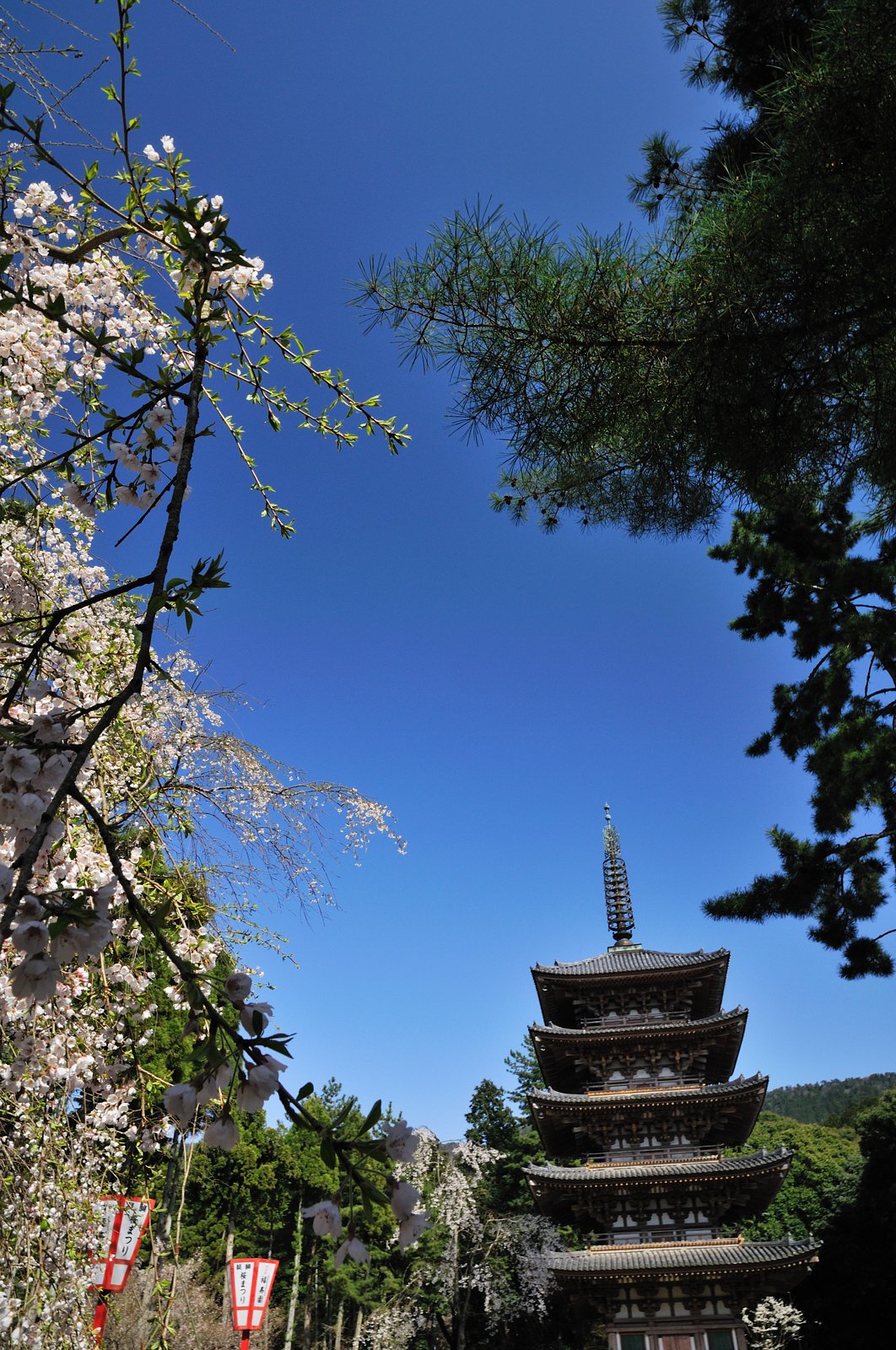 醍醐寺