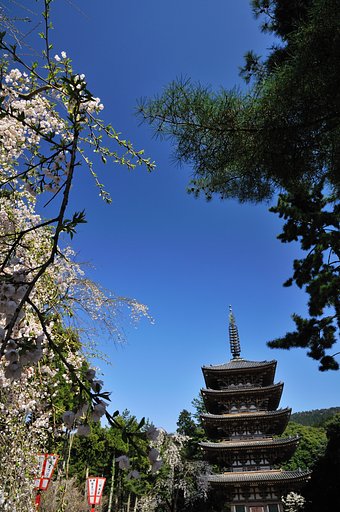 醍醐寺