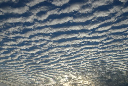 すじ雲の空広がる