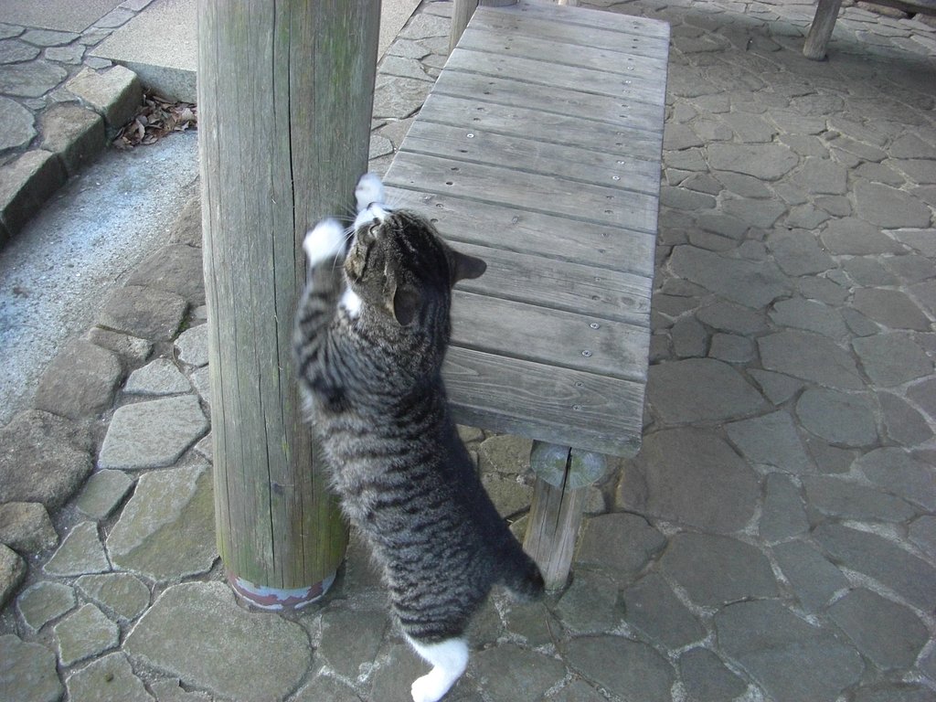 これから先どうしよう！