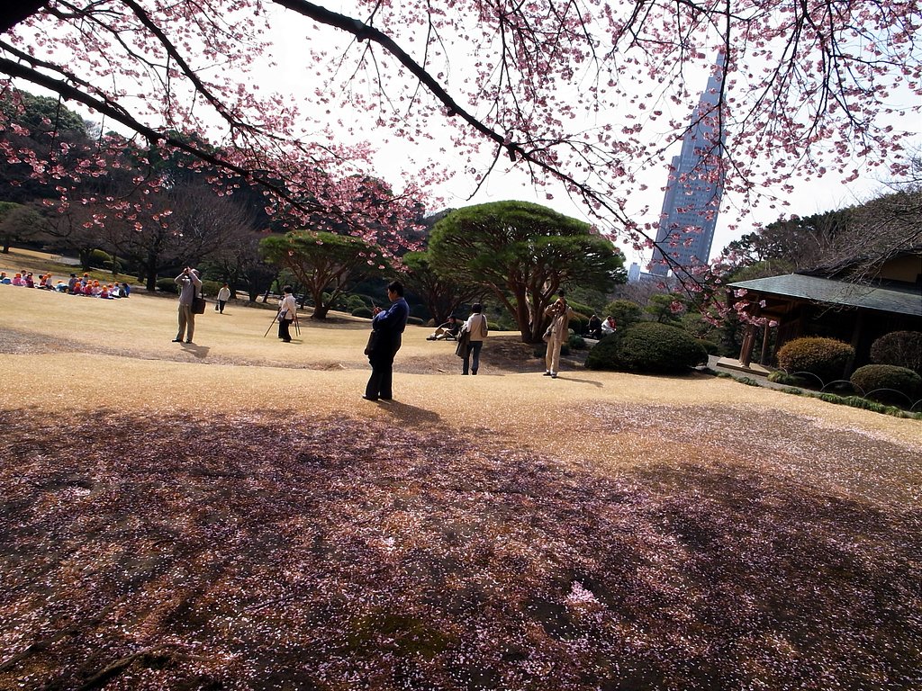 色々