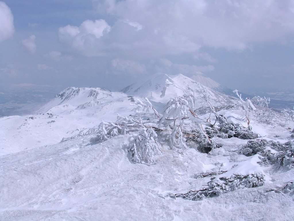 ４月の風景（寒）