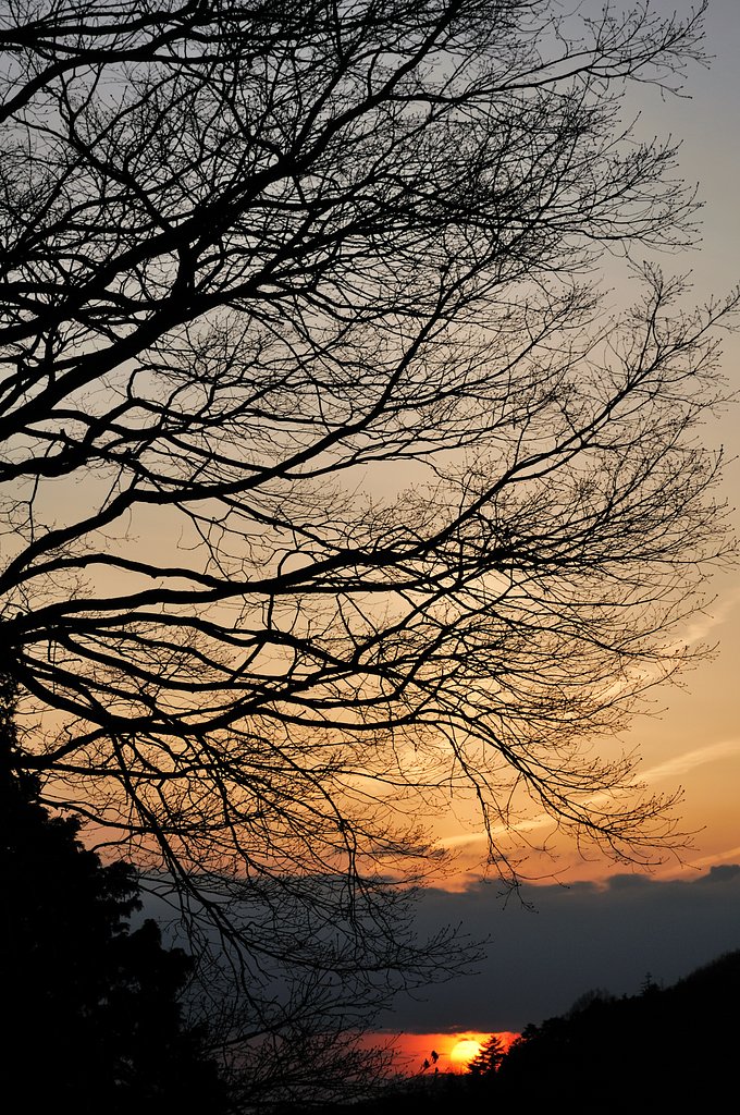 沈み行く夕日