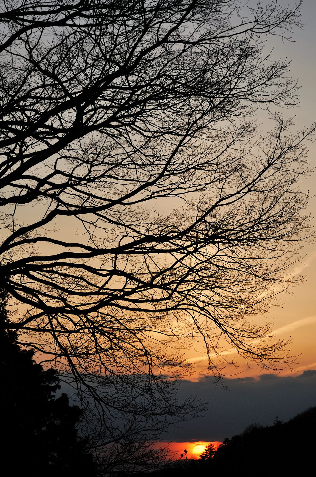 沈み行く夕日