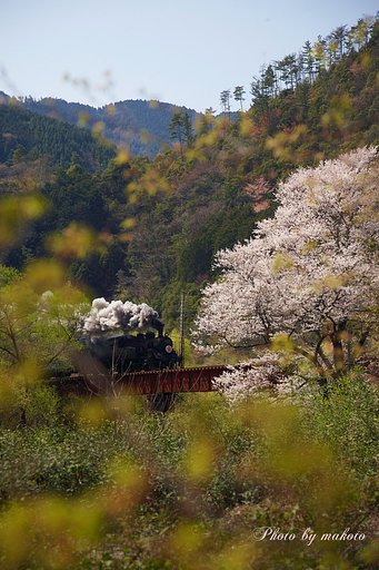笹間鉄橋