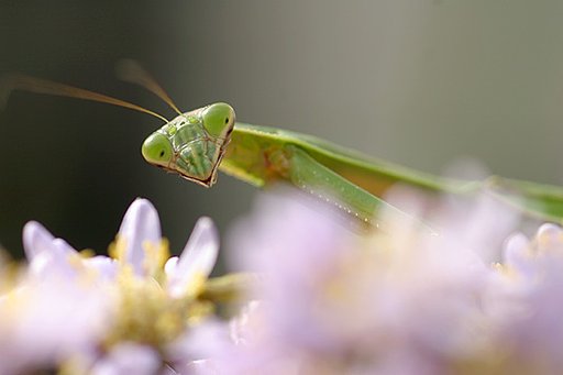 こんにちは