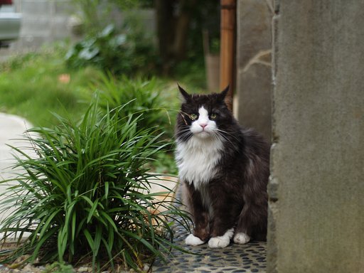 そのまま