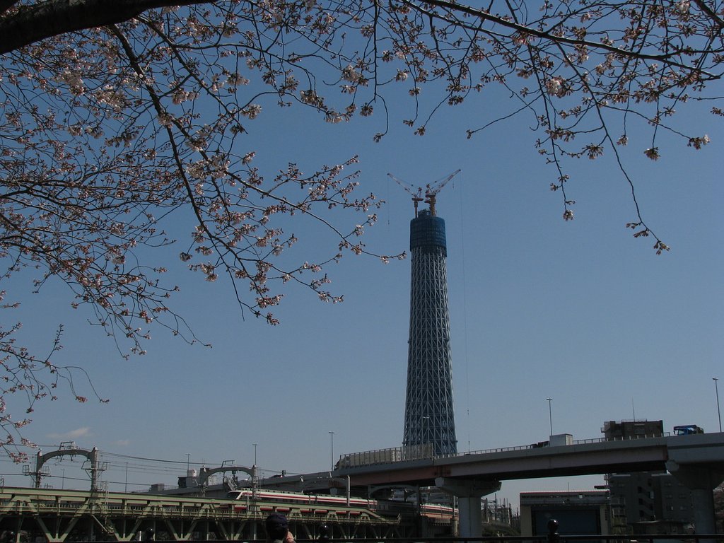 東京スカイツリー
