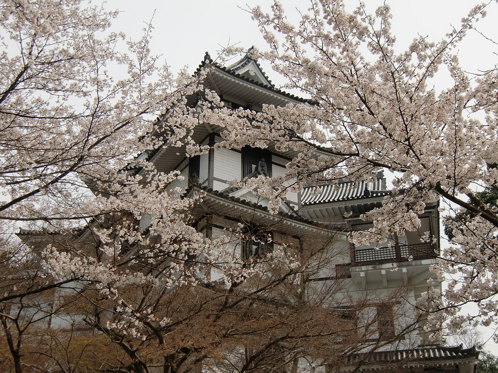 城とサクラ
