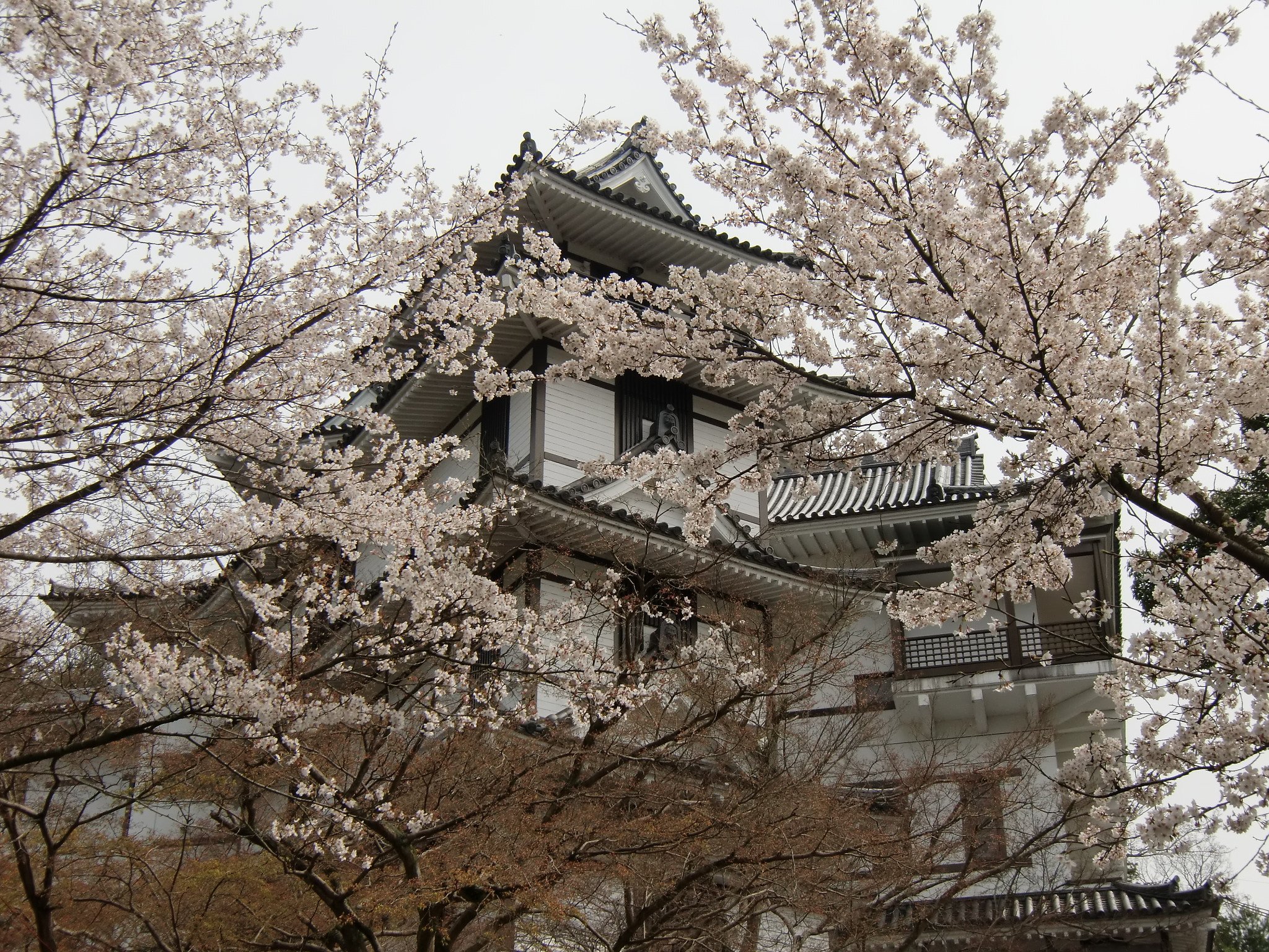 城とサクラ