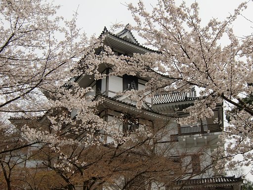 城とサクラ