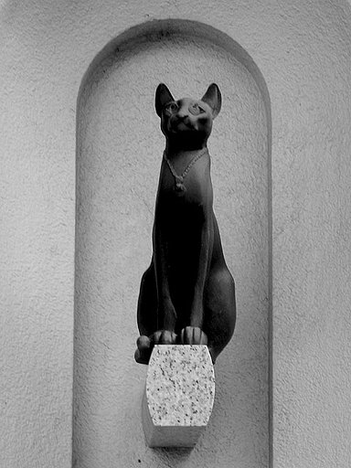 大佛次郞の猫