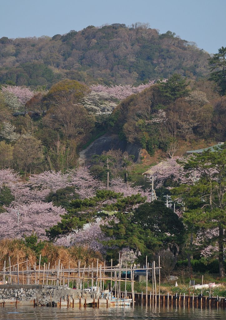 滝