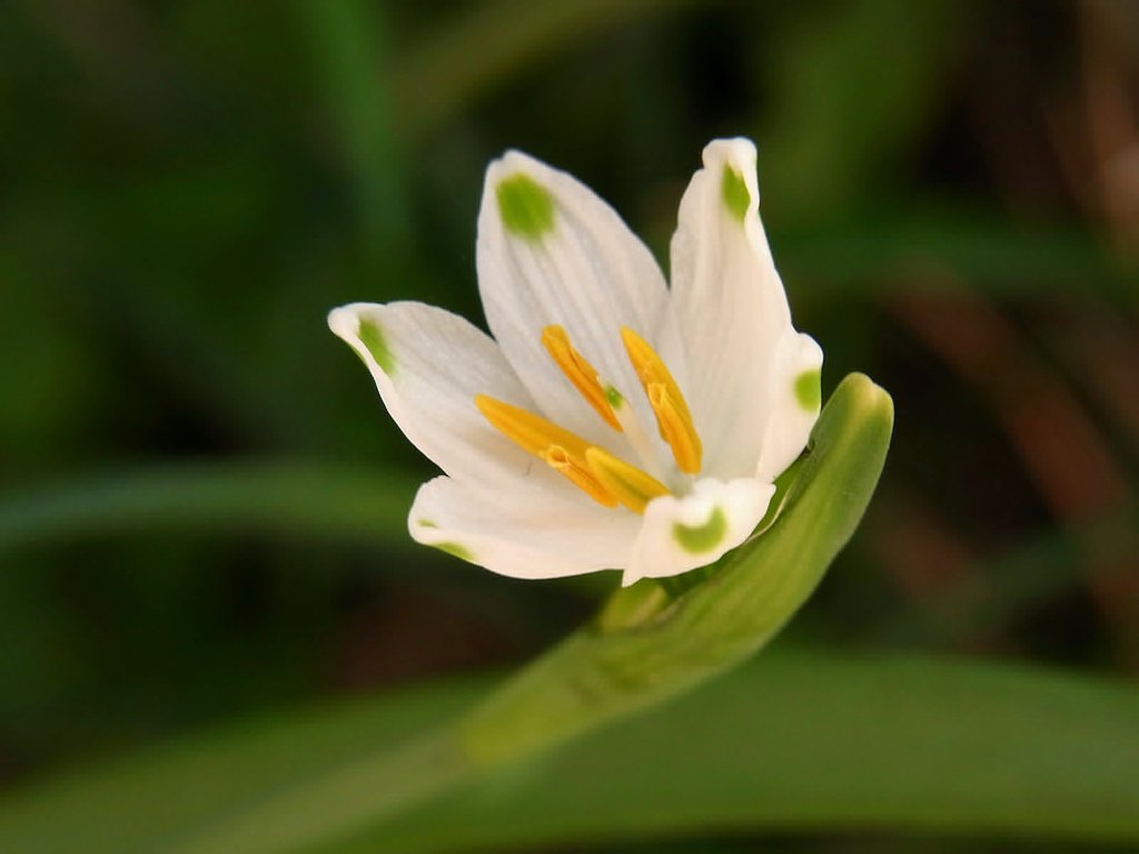 上向きに