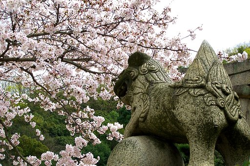 花見