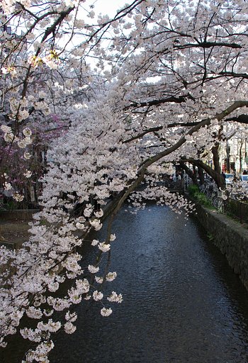 高瀬川
