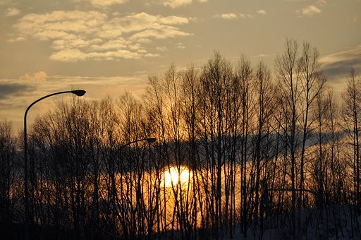 冬の夕日