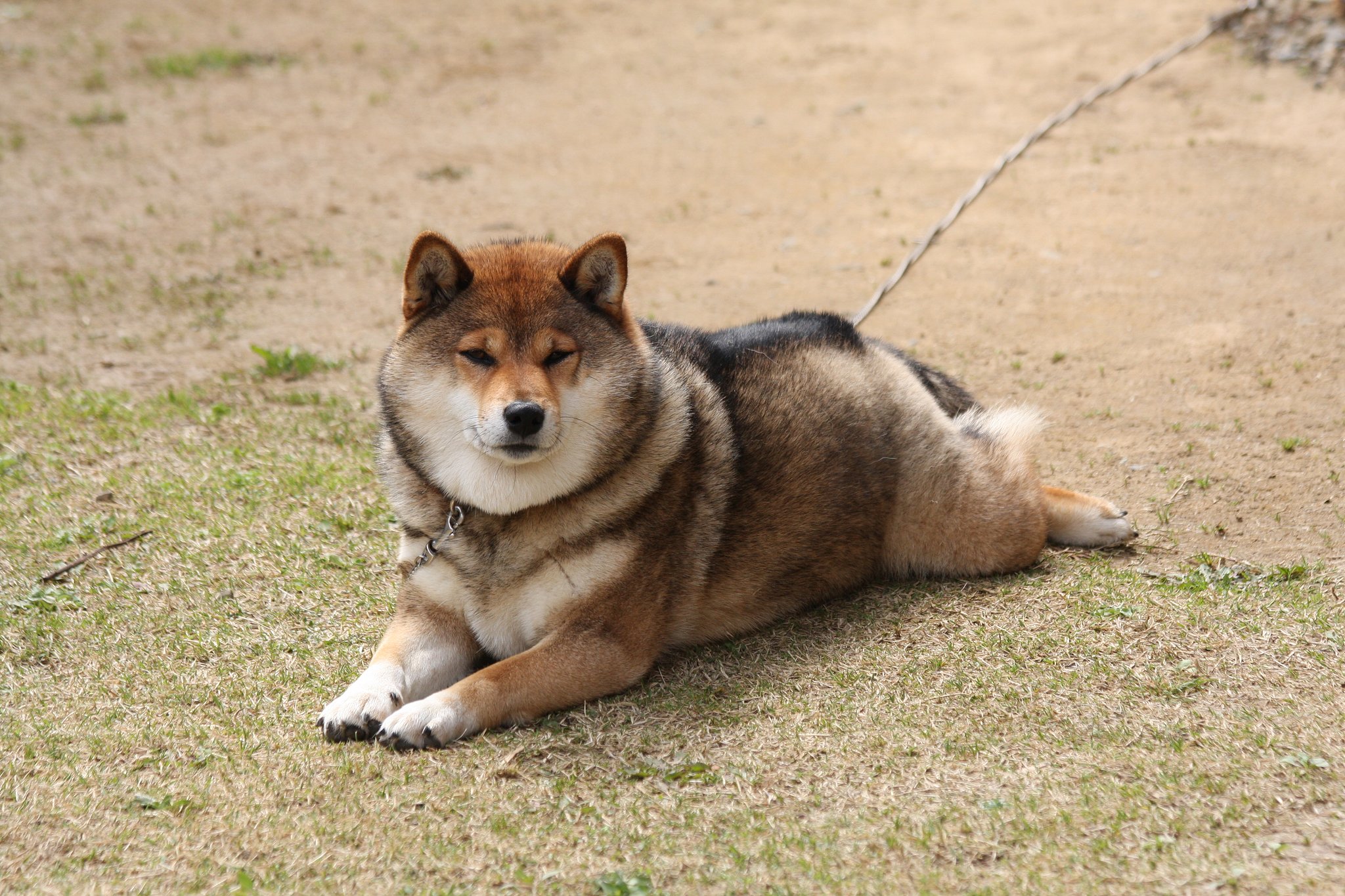 な〜んもやるきせんわい