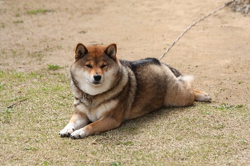 な〜んもやるきせんわい