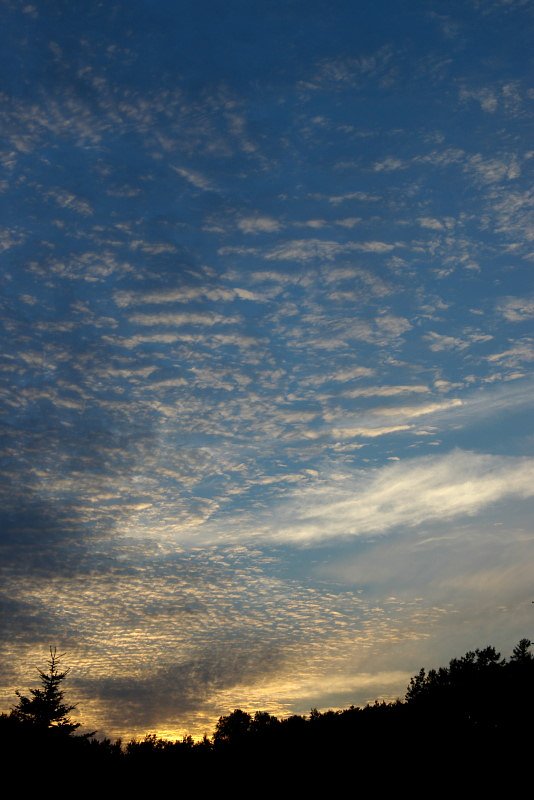 残照のうろこ雲