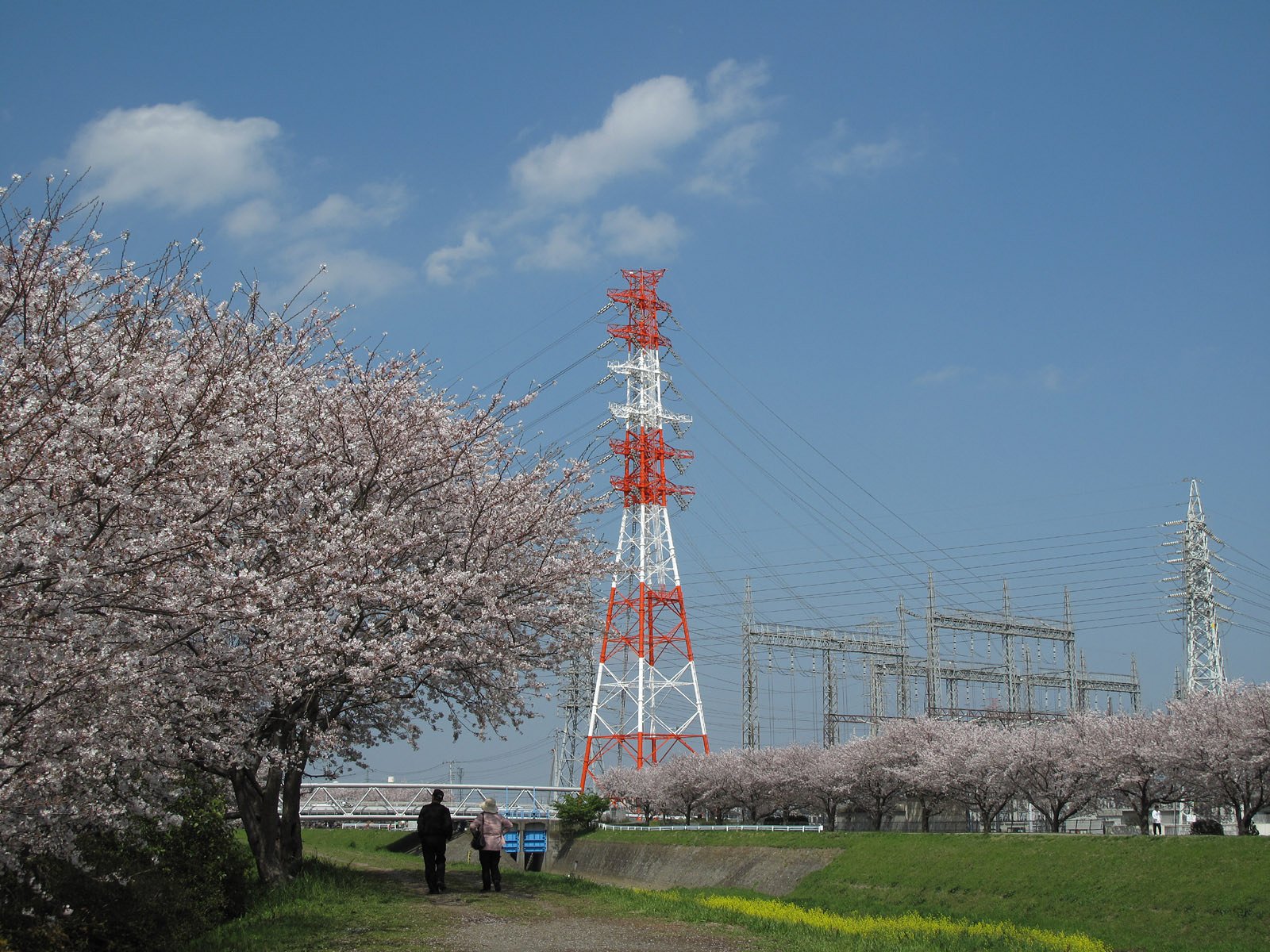 アンバランスの風景