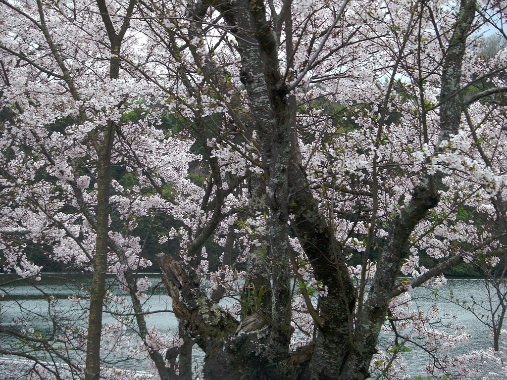 広島県ため池百選