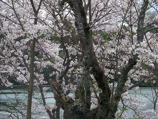 広島県ため池百選