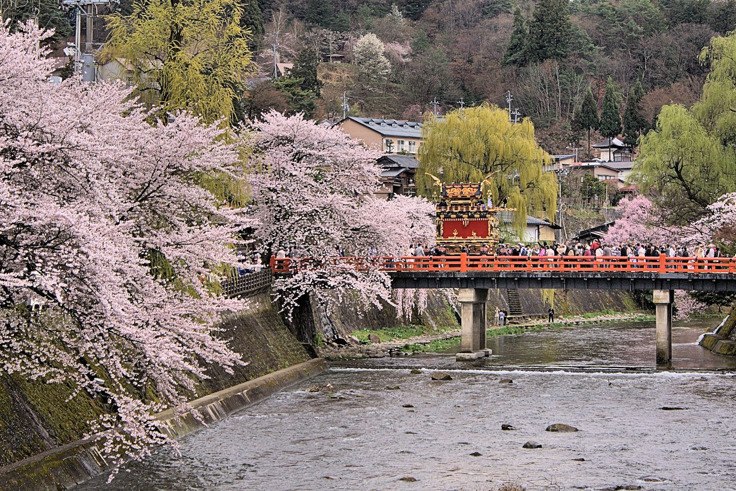 【桜】高山春まつり