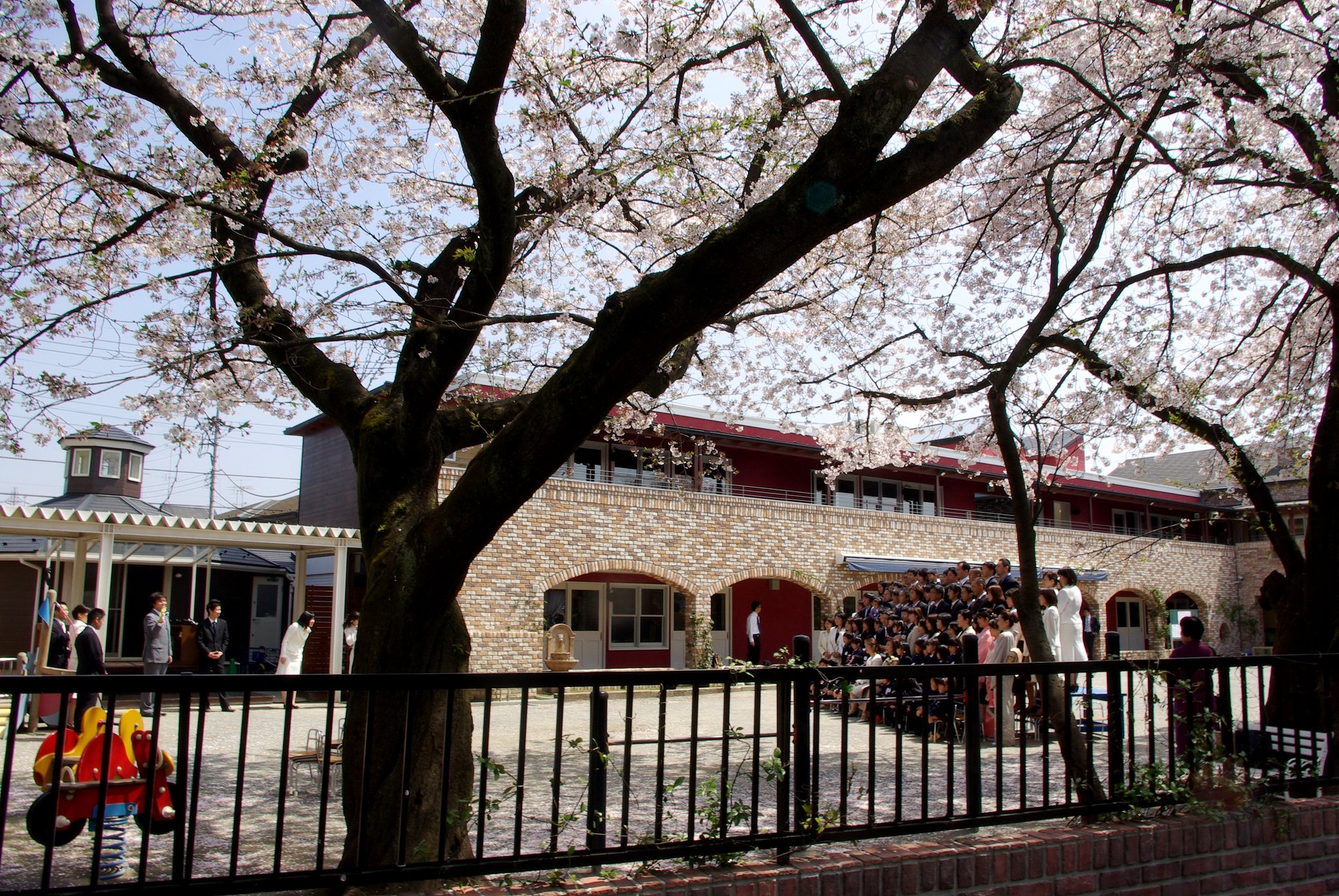 【桜】　入園式
