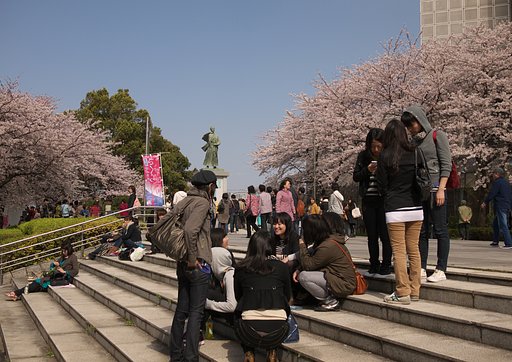 花見日和