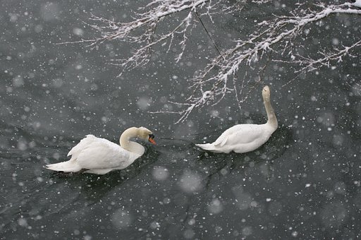 雪景色