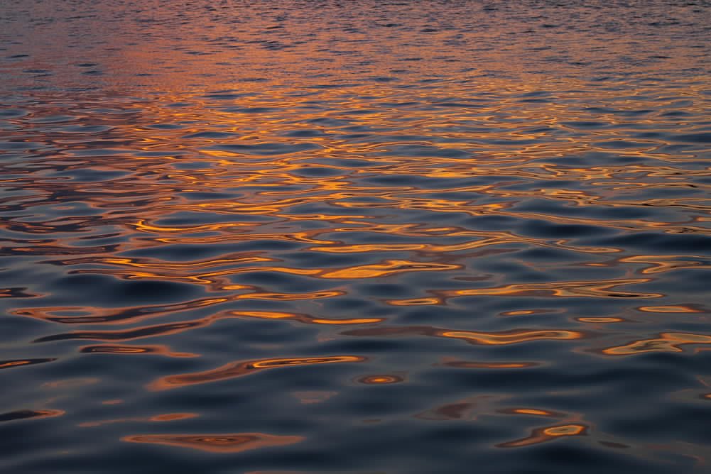 海