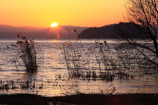 夕日
