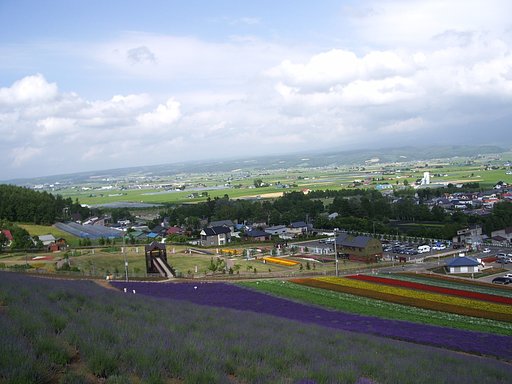 【やすらぎ】パープル