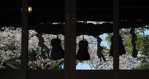 神社と桜