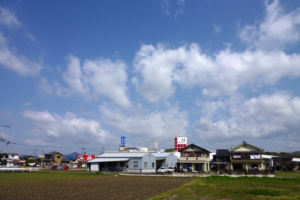 晴れました