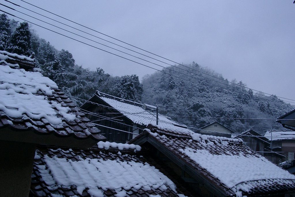 又雪が降ってます。