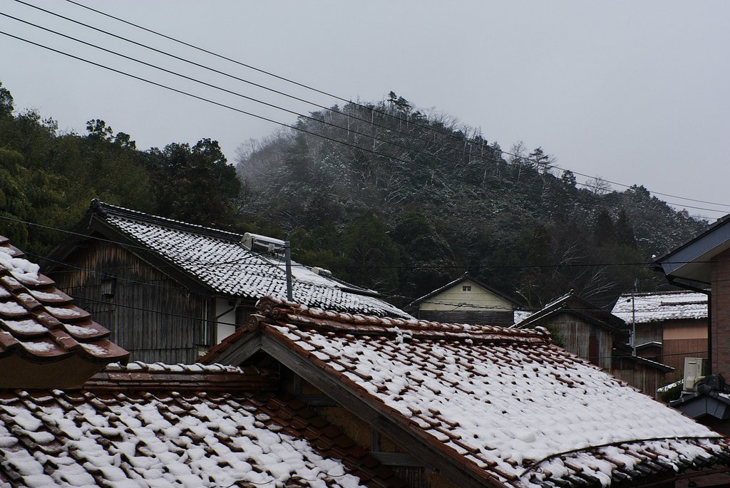今日も雪が・・