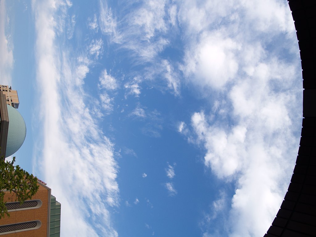 夏-夕２